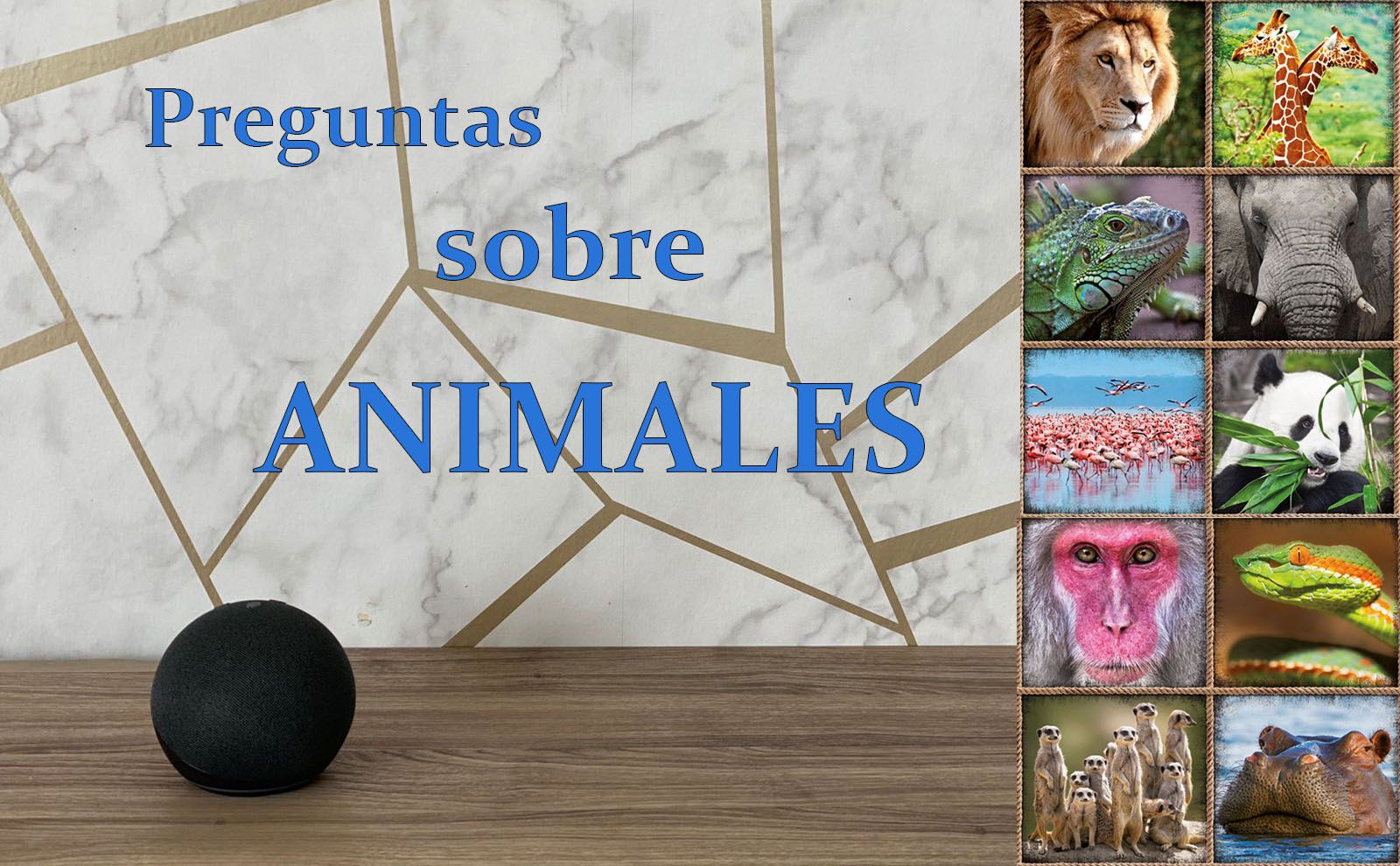 Preguntas sobre animales para Alexa